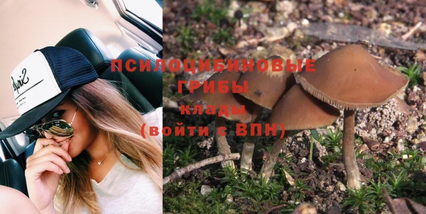 соль ск Белокуриха