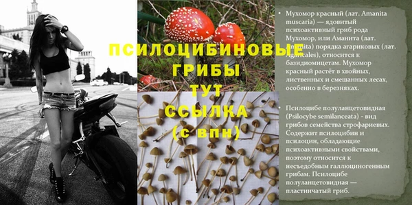 синтетический гашиш Беломорск