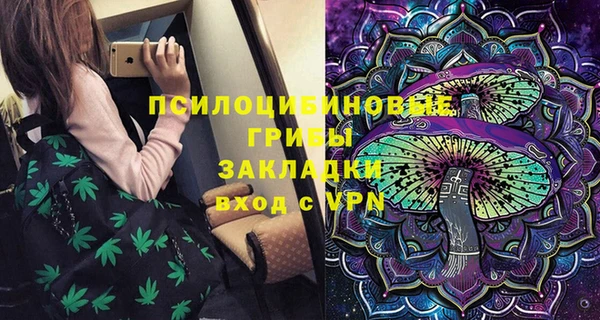 соль ск Белокуриха