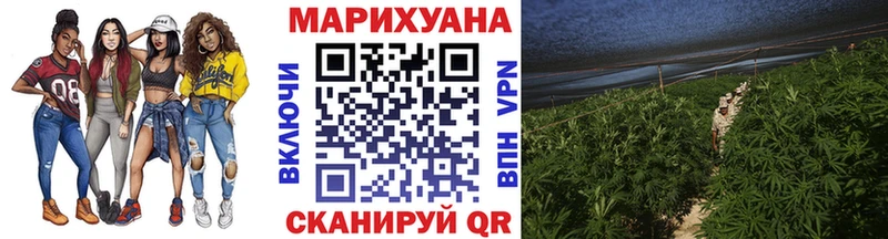 как найти   Пыть-Ях  кракен зеркало  Канабис ГИДРОПОН 